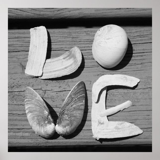 LOVE Shell Black and White Poster (Frente)