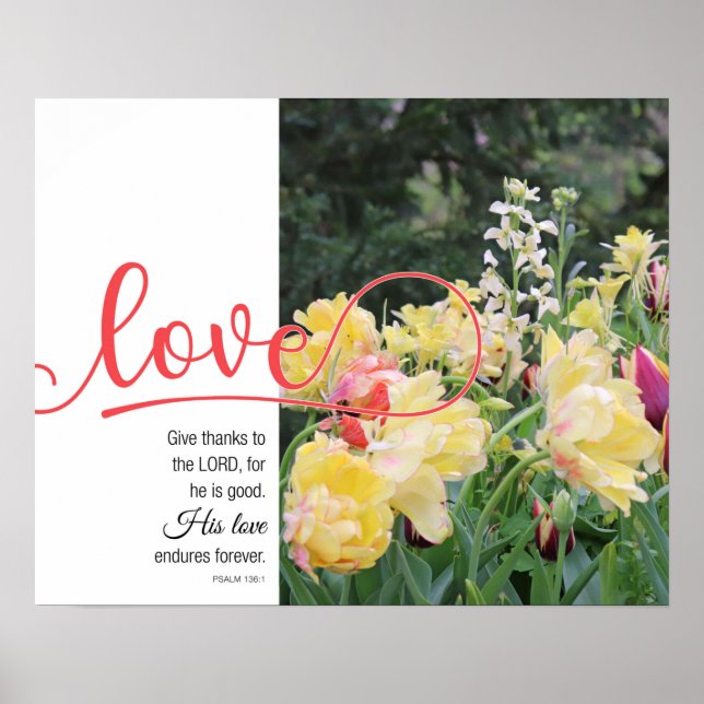 Love Tulip Fotografia Psalm 136:1 Poster (Frente)