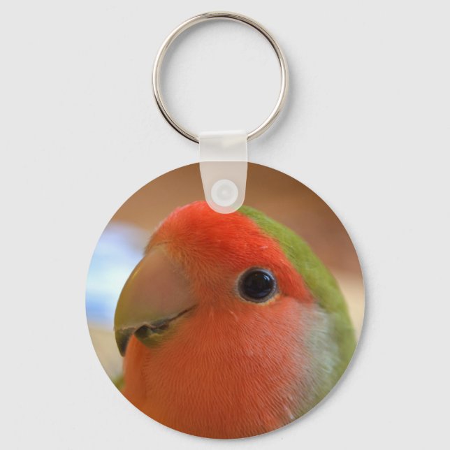Lovebird chaveiro (Frente)