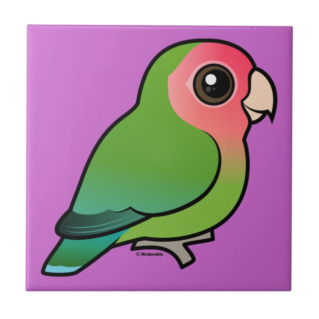 Lovebird Rosado-enfrentado (Frente)