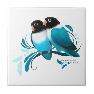 Lovebirds mascarados azul