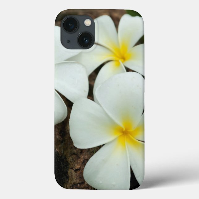 Lovely Tropical Blossoms In The South Pacific (Verso)