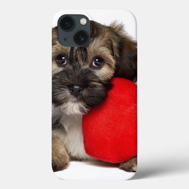 Lover Valentine Havanese Puppy Dog (Verso)