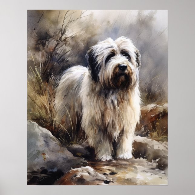 Lowland polonês Sheepdog Dog Art Impressão Poster (Frente)