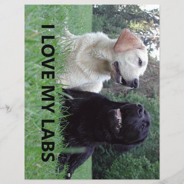 LR I Love My Labs with picture (Frente)