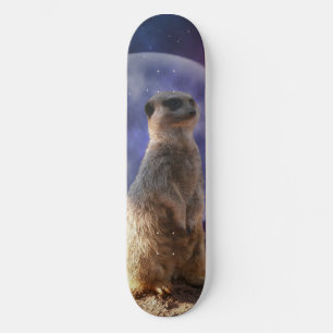 Lua Cheia E Meerkat, skate