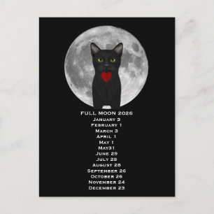 Lua Cheia Gato 2026 Cartão Postal