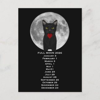 Lua Cheia Gato 2026 Cartão Postal