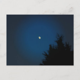 Lua de Verão - Cartão Postal