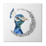 Lua do brilho da prata do pavão<br><div class="desc">Esta é uma pintura da aguarela de um pavão. O pássaro tem cores de mistura bonitas do azul e do verde. O pássaro está olhando muito nobre e orgulhoso. Há um círculo de prata do brilho do falso em torno do pássaro.</div>
