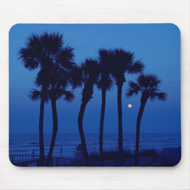 Lua tropical Mousepad da palmeira de Daytona Beach (Frente)