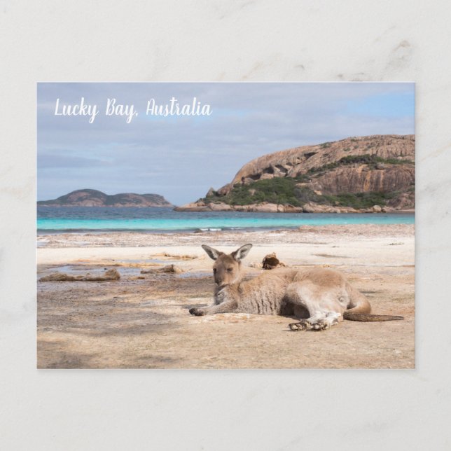 Lucky Bay Beach Kangaroo, cartão postal da Austrál (Frente)
