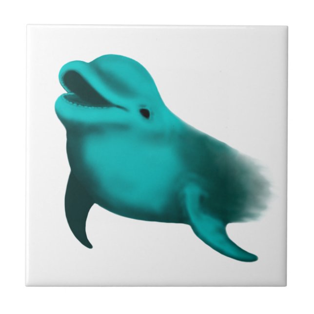 Lucky Dolphin (Frente)