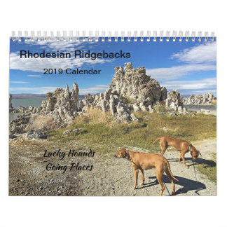 Lugares indo do calendário 2019 de Rhodesian