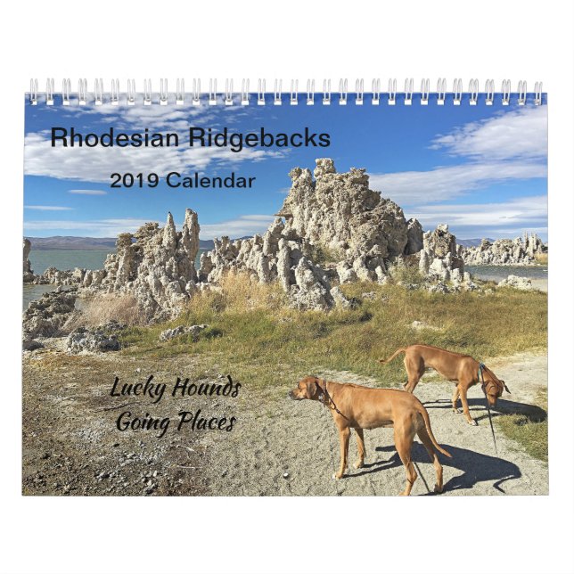 Lugares indo do calendário 2019 de Rhodesian (Capa)
