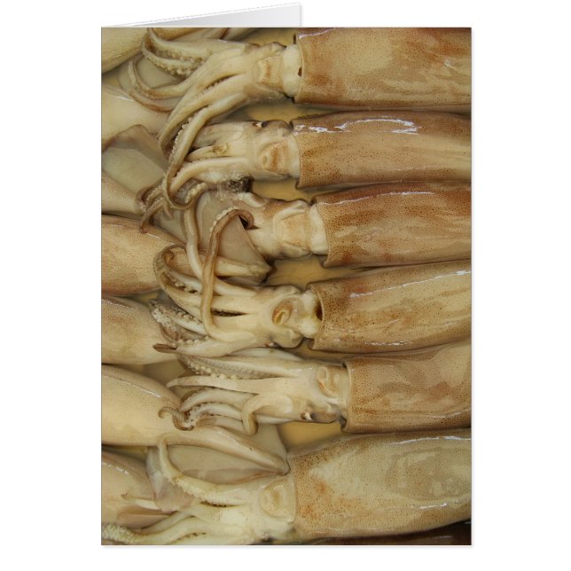 Lula - Cartão Calamari (Frente)