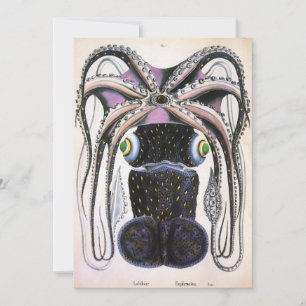 Lula Gigante ou Polvo, Animal de Vida Marinha Anti