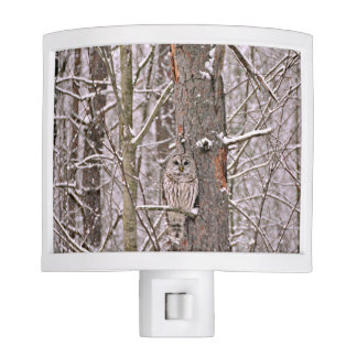 Luminárias Noturnas Coruja na neve