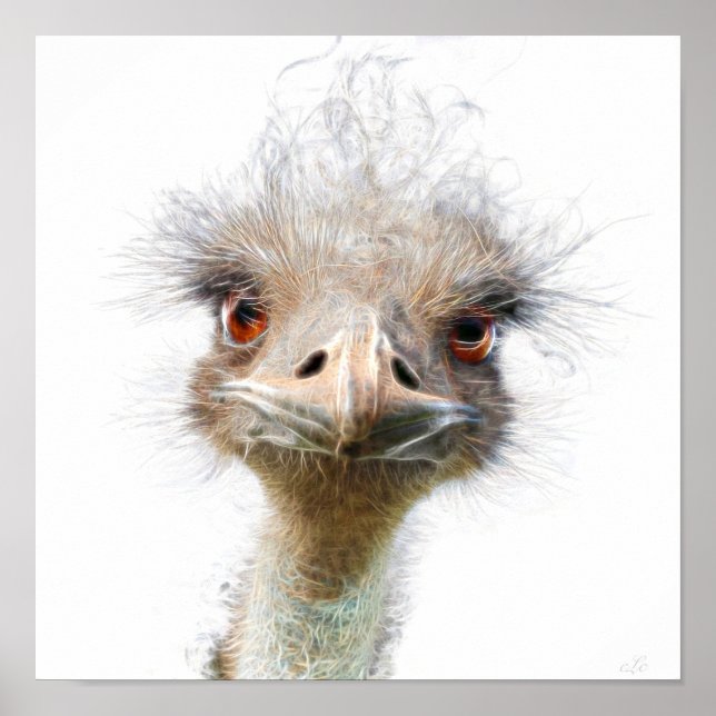 Luminoso Emu art Poster (Frente)