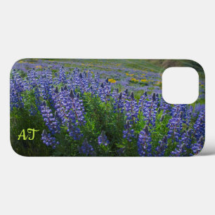 Lupine Bloom