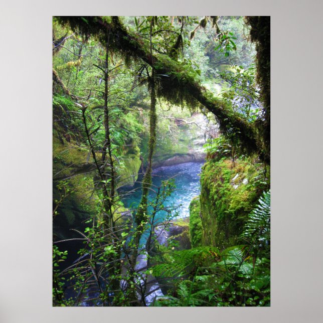 Lush Jungle River Poster (Frente)