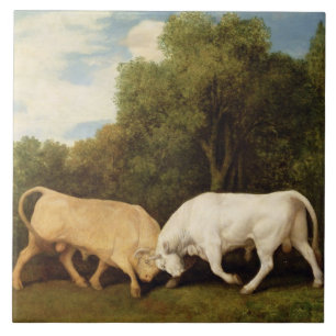 Luta de touros de George Stubbs , 1786 (óleo no