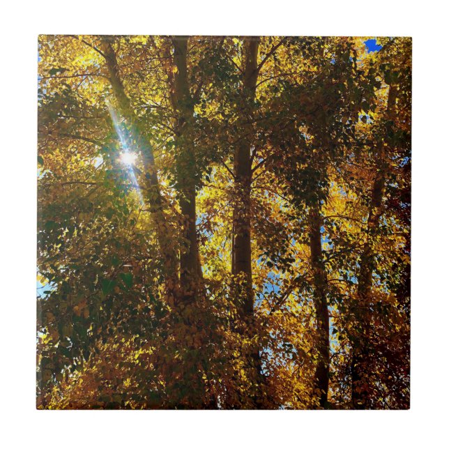 Luz do ouro (Frente)