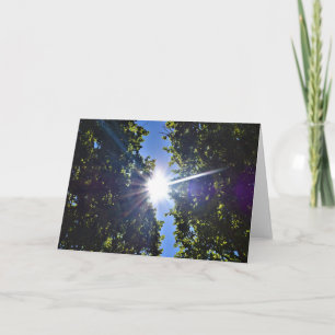 Luz do Sol Através das Árvores, cartão