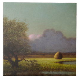 Luz do sol e sombra: Os pântanos de Newbury