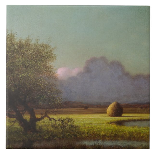 Luz do sol e sombra: Os pântanos de Newbury (Frente)