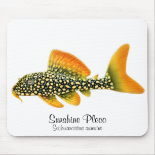 Luz do sol Pleco Mousepad de Goldy