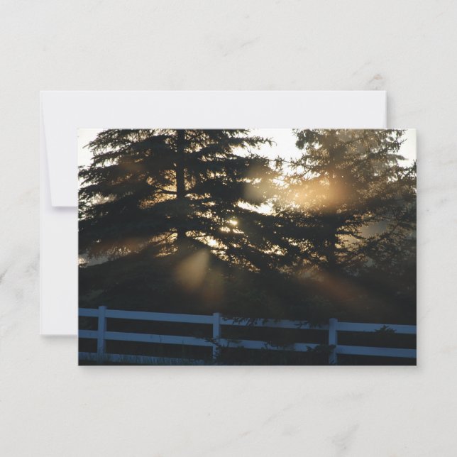 Luz em Cartões de condolências Cristãos das Árvore (Frente)