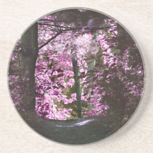 Luz Na Porta copos Natureza Do Caminho