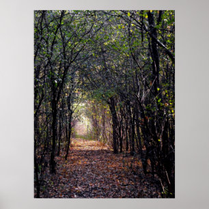 Luz no final do Poster do caminho