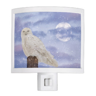 Luz Noturna Solstício de inverno