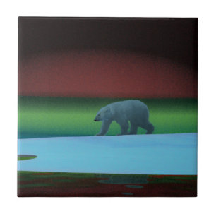Luz Polar Urso