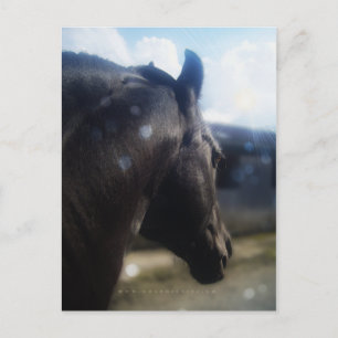 Luz solar - Cartão postal