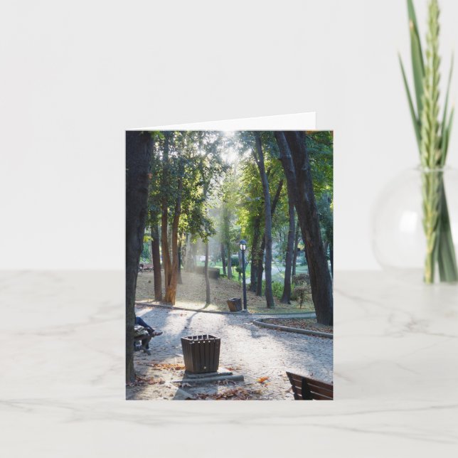 Luz solar no parque - cartão de nota (Frente)