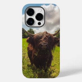 Luz verde do campo verde da vaca em lata negra