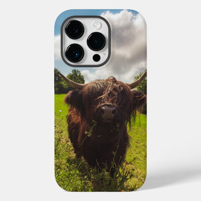 Luz verde do campo verde da vaca em lata negra (Verso)