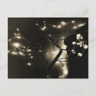 Luzes abstratas Cartão postal preto e branco