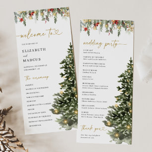 Luzes de Natal em Pinheiro Programa de Casamento d