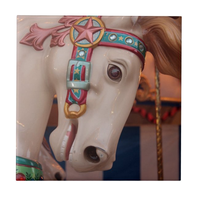 Luzes e sons do Verão (Frente)