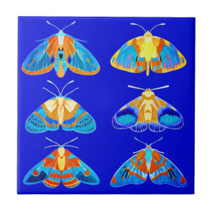Luzes em azul escuro, laranja e turquesa pequenas