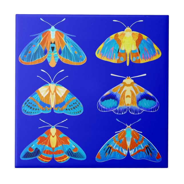 Luzes em azul escuro, laranja e turquesa pequenas (Frente)