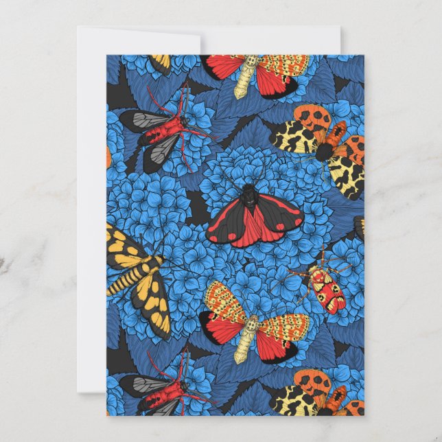 Luzes sobre hidrangea azul (Frente)