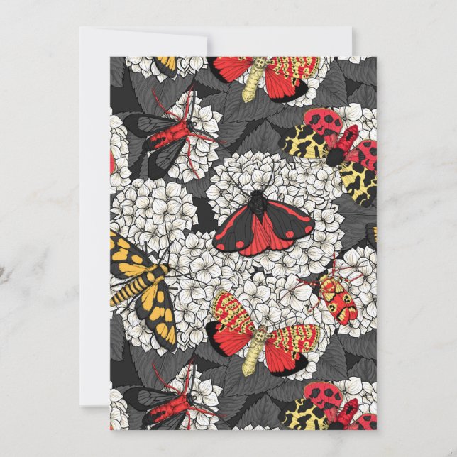 Luzes sobre hidrangea branca (Frente)