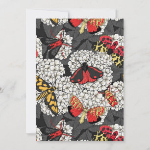 Luzes sobre hidrangea branca