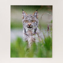 Lynx Jigsee Quebra-cabeça