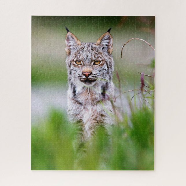 Lynx Jigsee Quebra-cabeça (Vertical)
